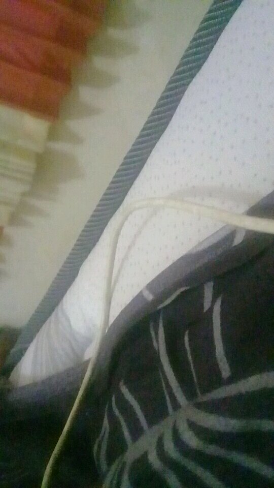 Sale Cadar Tali