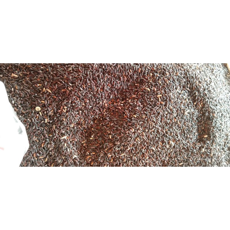 

Kacang Ketan Hitam Bubur Manuk