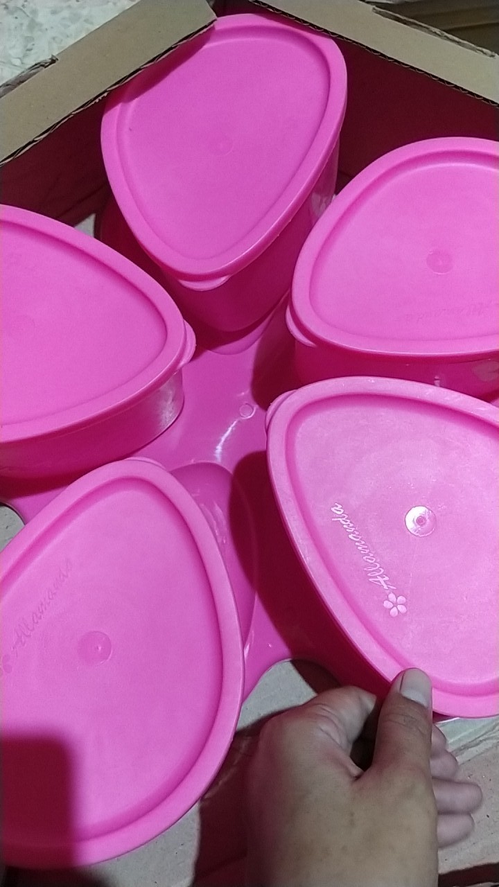 Toples Oval Alamanda Toples Cantik (warna Random)