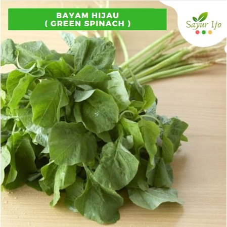 

Bayam 230 - 250 Gram Per Ikat Fresh Grade A Green Spinach Amaranthus Sayur Hijau Segar