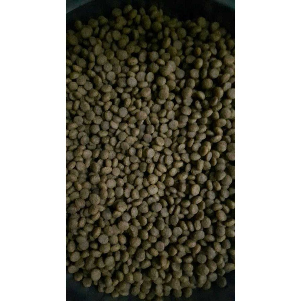 Makanan Kucing Kiloan Maxi Cat