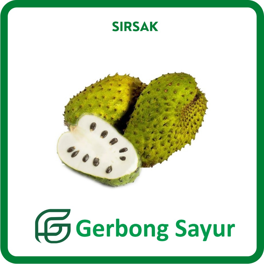

Buah Sirsak Segar - 1 Kg