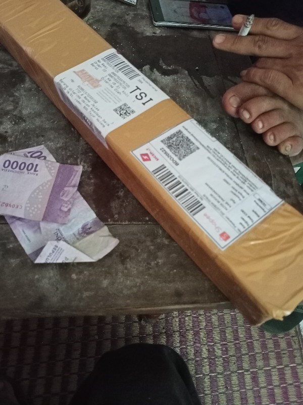 Tanaman Hias Monstera Obliqua//monster Janda Bolong // Janbol