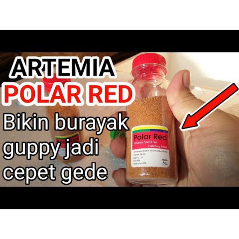 artemia polared 50gram