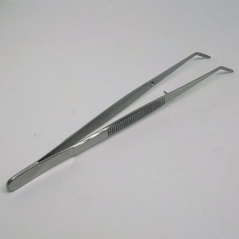 Pinset Gigi Mulut Stainless Steel