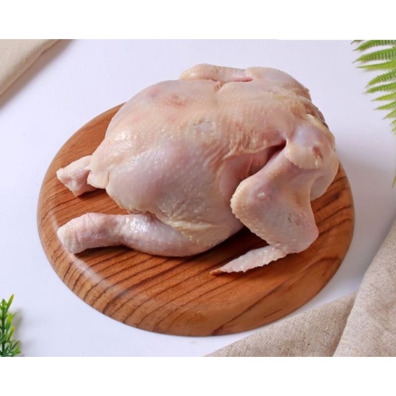 

Ayam Karkas Broiler 600gr-1kg Ayam Potong