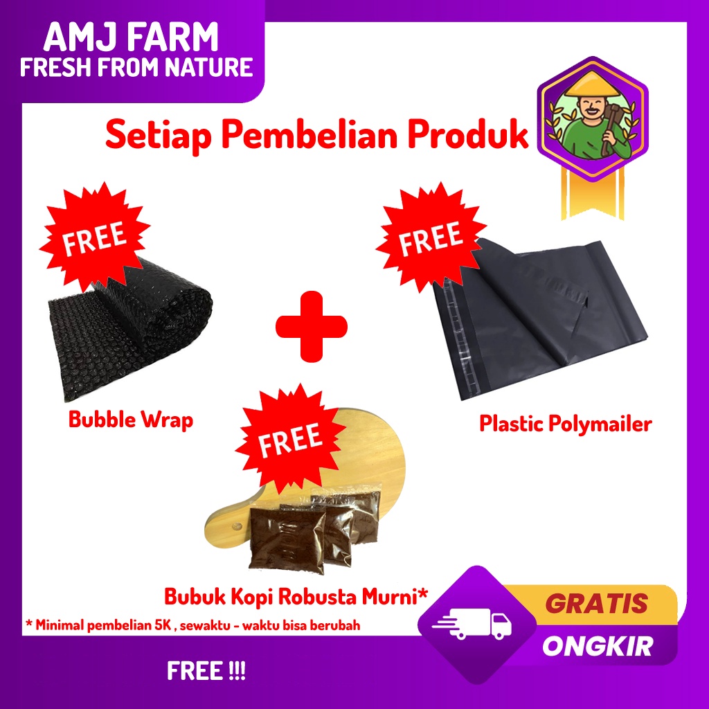 

Korzaln Premium Quality 1 Kg Green Bean Kopi Robusta Gunung Kawi / Kopi Robusta Mentah Biji Kopi