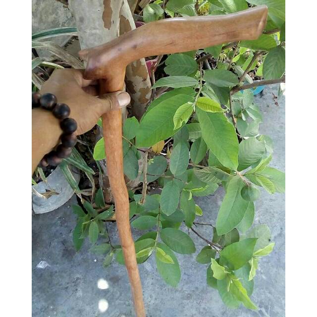 Tongkat jalan kayu setigi polos 003