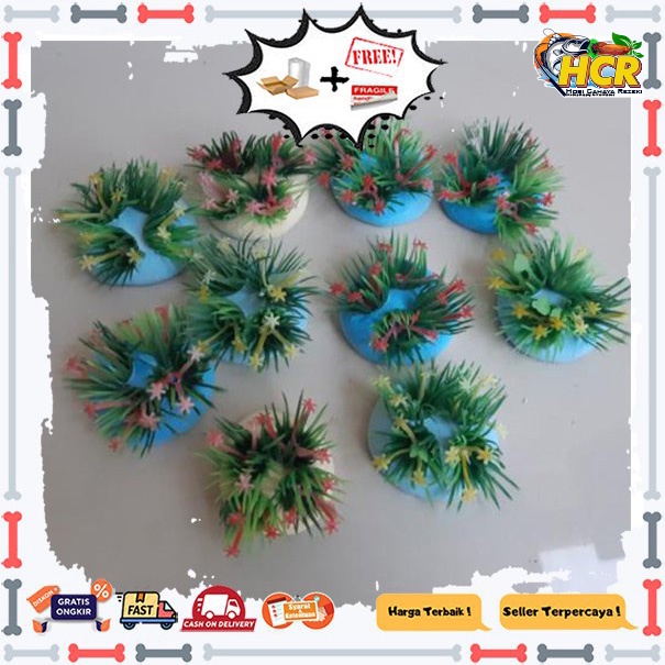 Hiasan aquarium - Rumput Jarum hias aquarium - Rumput aquarium