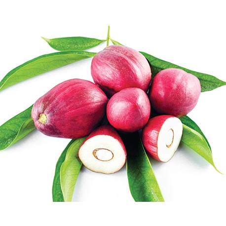 BUBUK BUAH MAHKOTA DEWA 250 g Serbuk Mahkotadewa Phaleria Macrocarpa