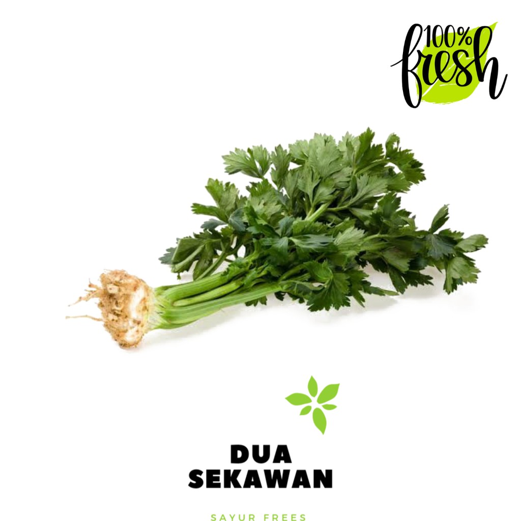

Dua Sekawan | daun seledri fresh