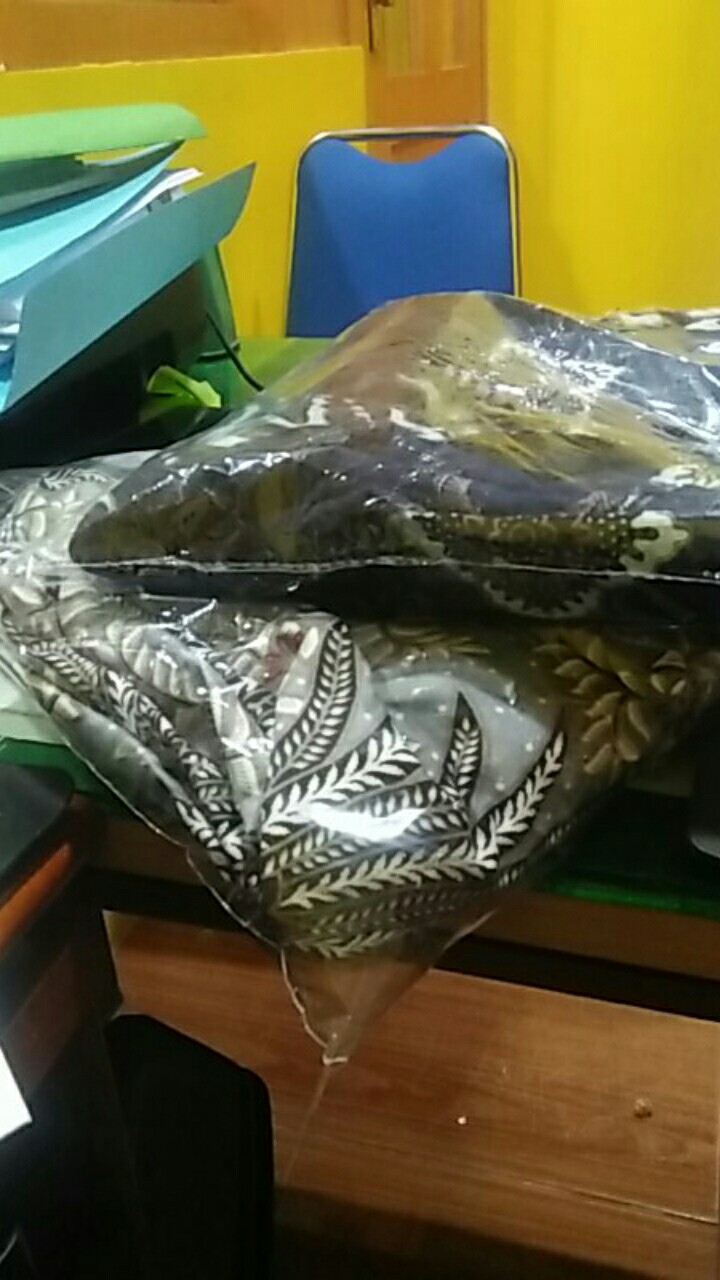 Tunik Batik Wanita Busui / Seragam Batik Kerja Kantor Batik Terbaru