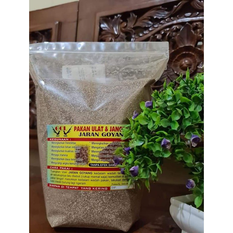 Jaran goyang 1,5kg / 1500gram produk voer aqua untuk pakan ulat &  jangkrik