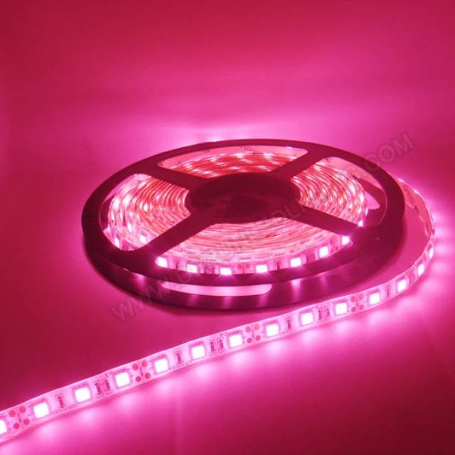 Lampu led strip 12V SMD 5050 3528 PINK MERAH MUDA 5M mata besar waterproof 5m hias plafon