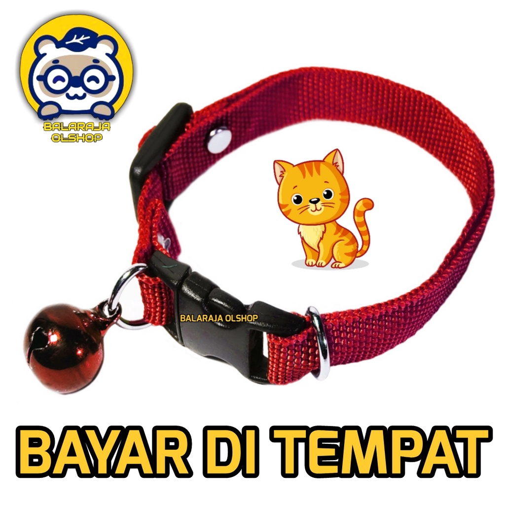 Kalung Kucing Musang Kelinci Polos Lonceng Ready Semua Warna