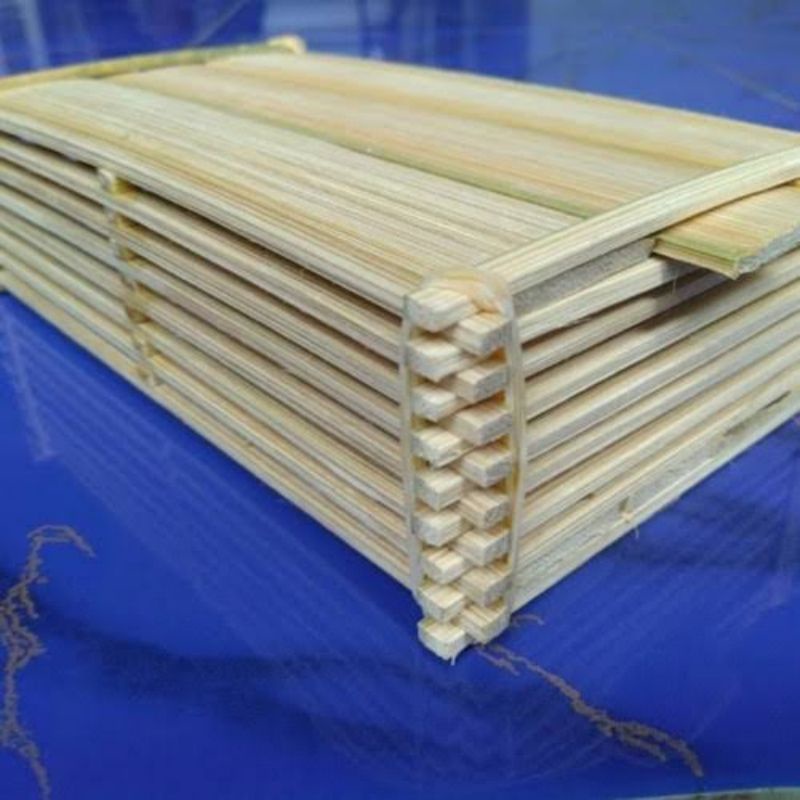 Pengusir Tikus Alami / Paket pengusir tikus / Jangkrik dan Kandangnya