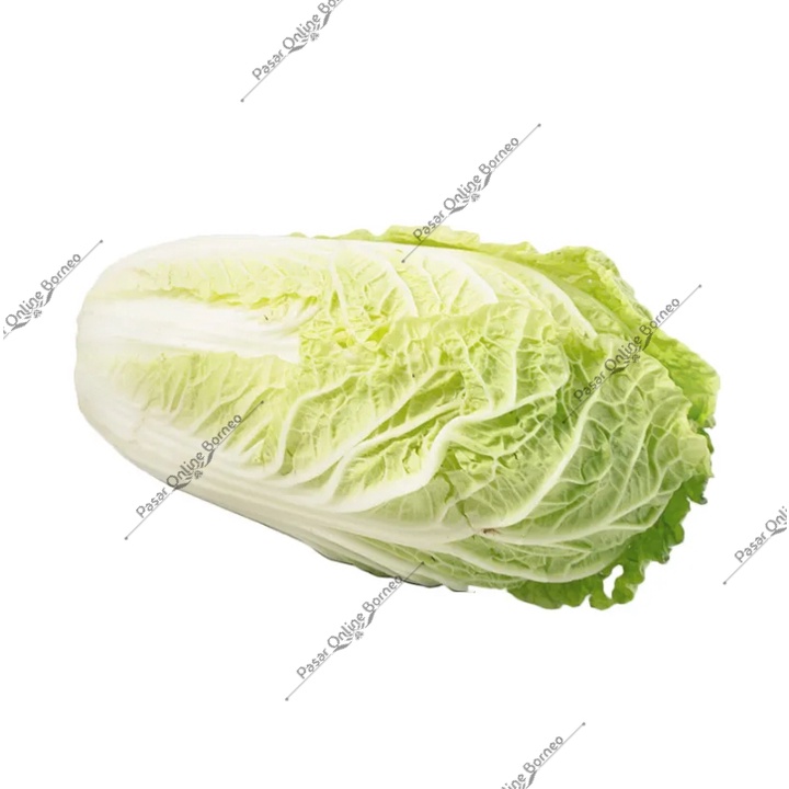 

Sayur Sawi Putih Fresh satu buah