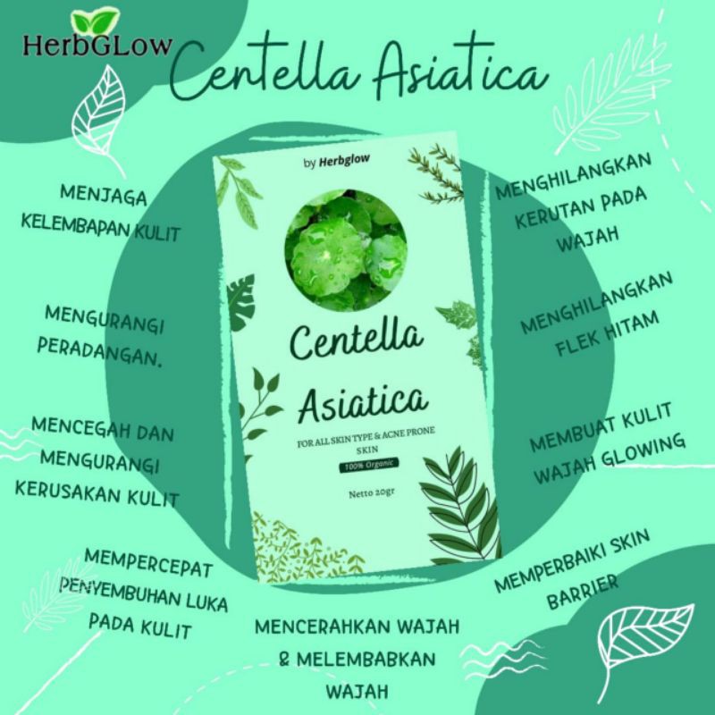 MASKER CENTELLA ASIATICA