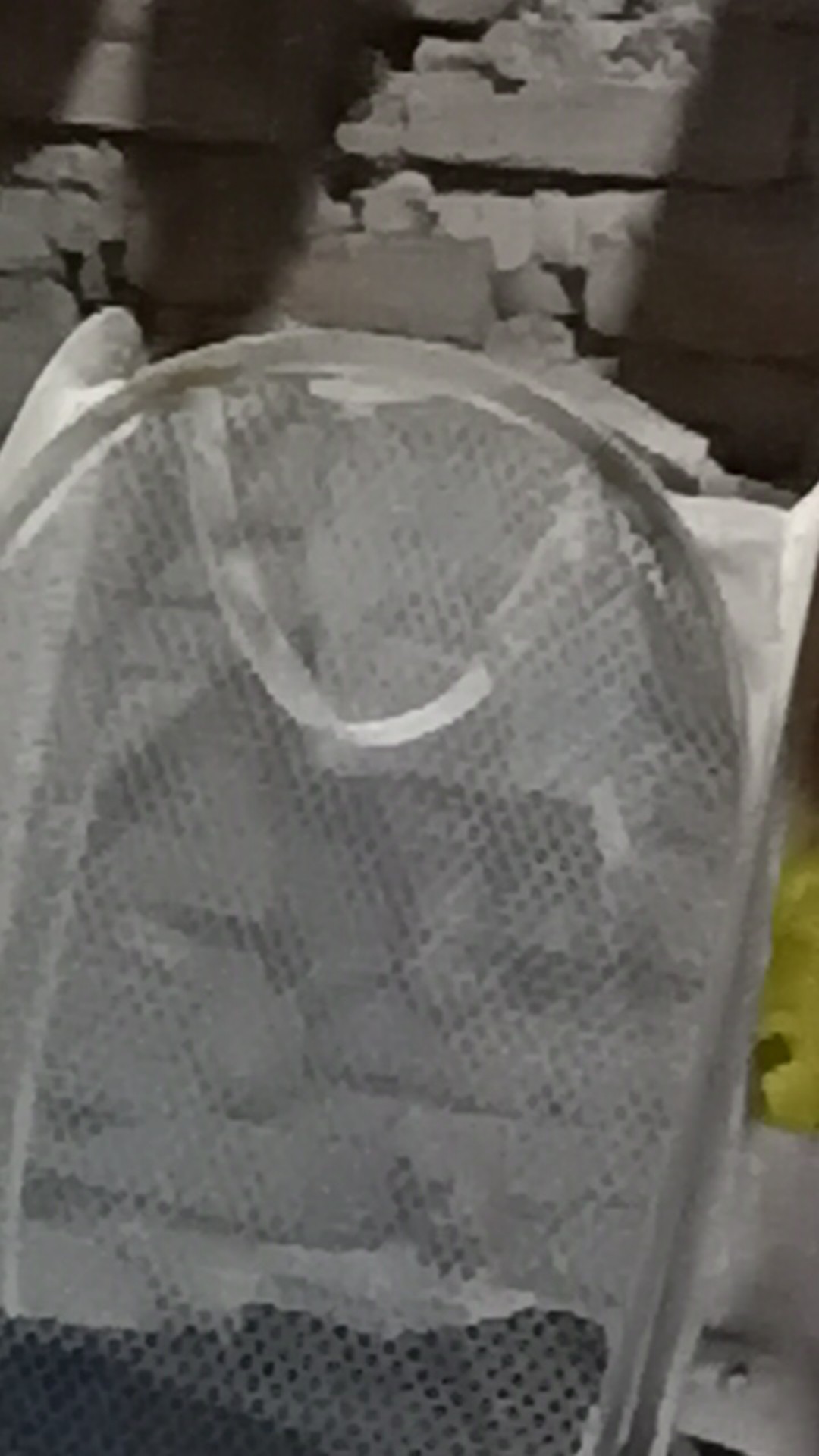 Keranjang Baju Laundry Polos Warna Warni - Jaring Lipat Londri