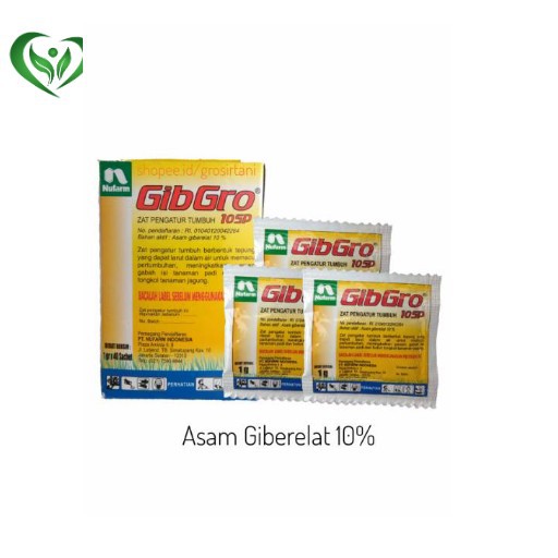 GIBRO 10SP (zpt)