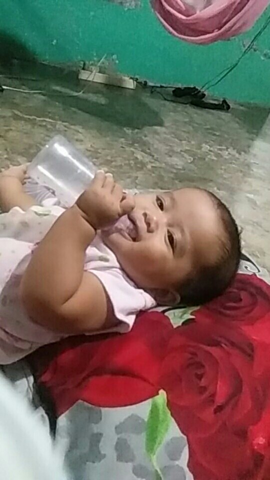 Pentolan Panci Warna Pentol Pemegang Tutup Panci Knop Cook Tool