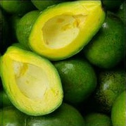 

Buah Alpukat mentega segar