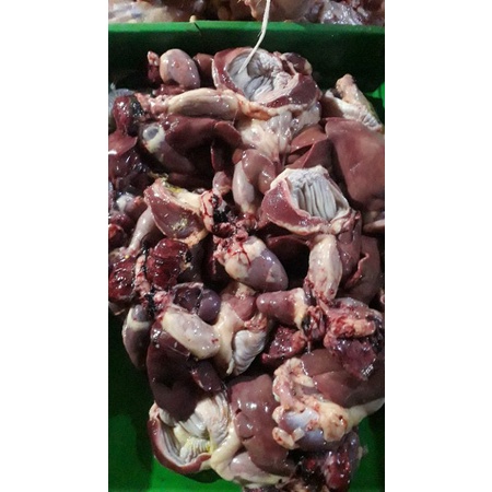 

ati ampela segar fresh 1biji