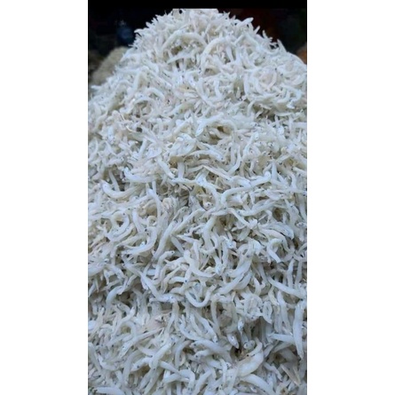 

ikan teri medan
