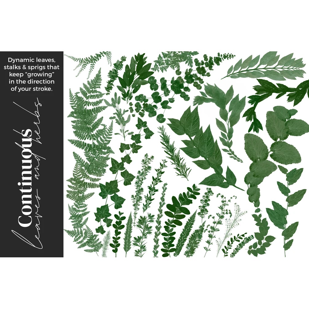 Procreate Brush - Greenery Herbarium Brushes for Procreate