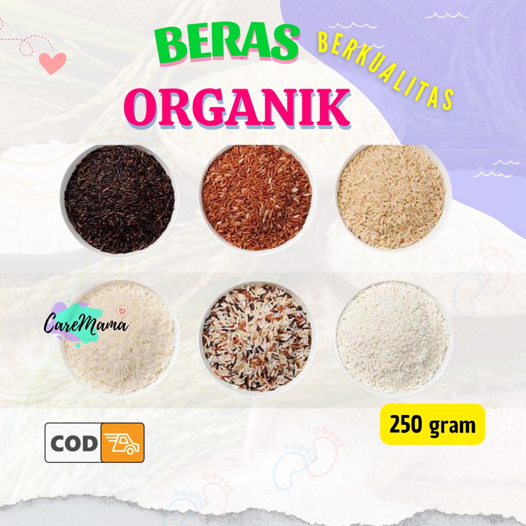 

Beras Organik 250 gram Beras MPASI Bayi Anak Makanan Anak Bahan Pokok Beras Merah Mix Menthik Pandan