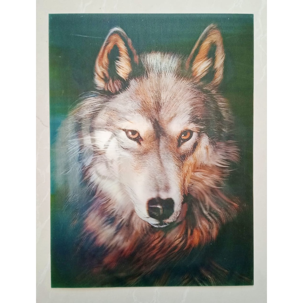 Poster Gambar 3D / 3 Dimensi Serigala Elang Harimau 30x40cm