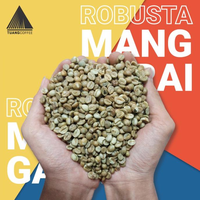 

[COD] Green Bean Robusta Tuang Coffee Flores Manggarai Commercial Grade [COD]