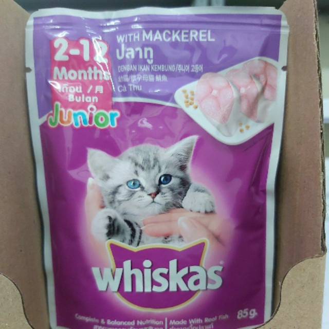 Jual Whiskas Junior 212 month ( mackerel ) Shopee Indonesia