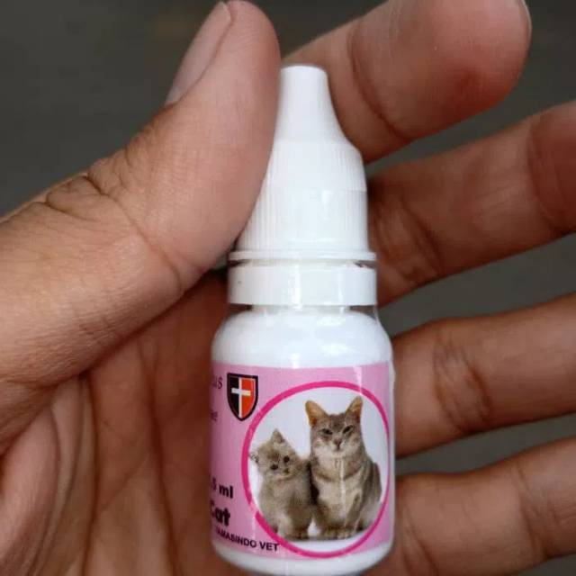 Proline Cat - Obat Kutu Kucing Pembasmi Telur Larva Kutu Telur Kutu Kucing