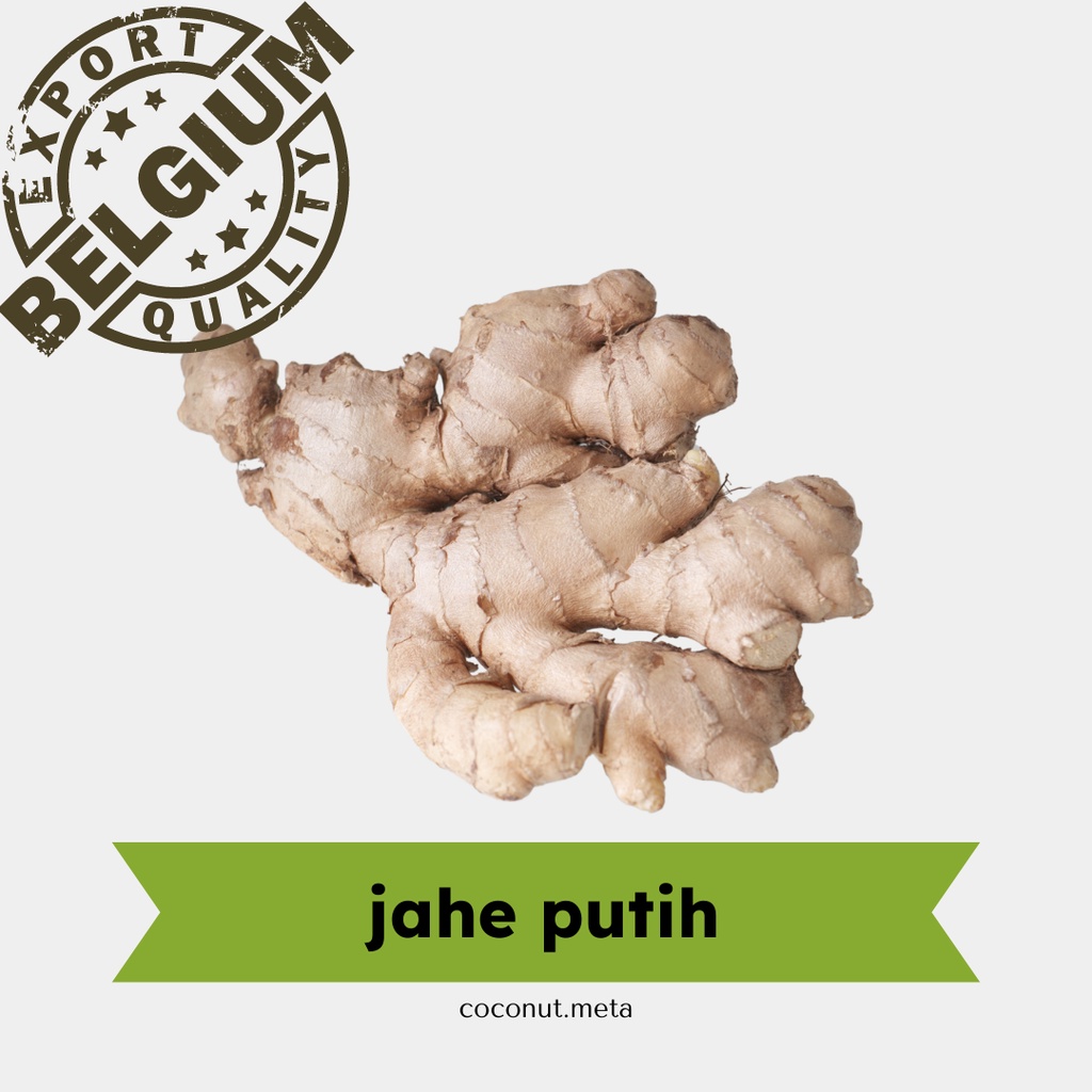 

Jahe Putih 500gr / White Ginger by Coconut Meta
