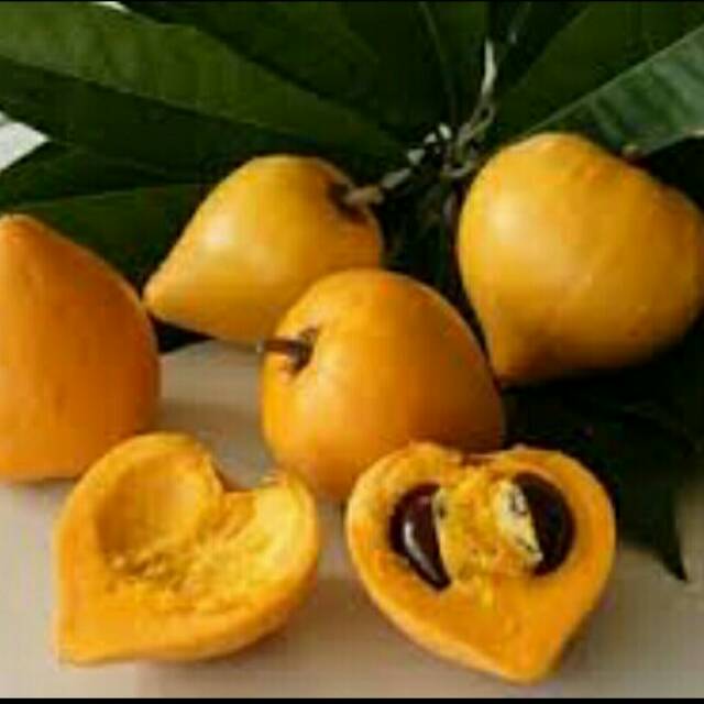

Sawo Akesah / Sawo Mentega