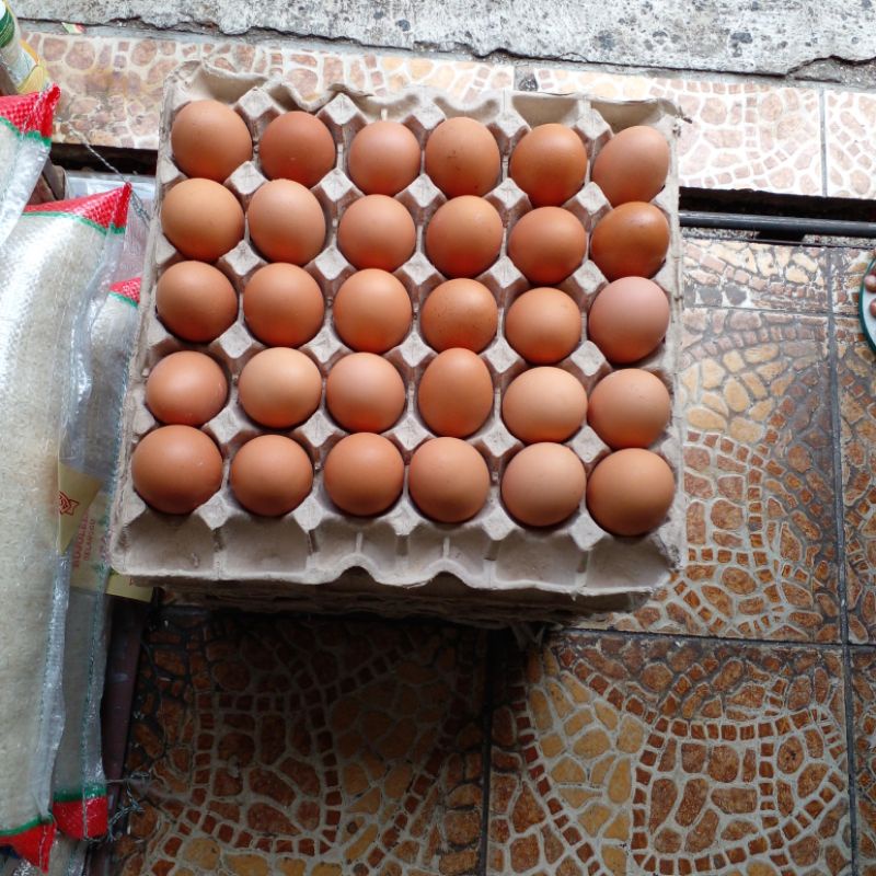 

Telur Ayam Negri Fresh