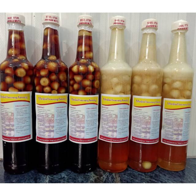 

Madu bawang lanang / Madu Bawang Tunggal / Madu Bawang