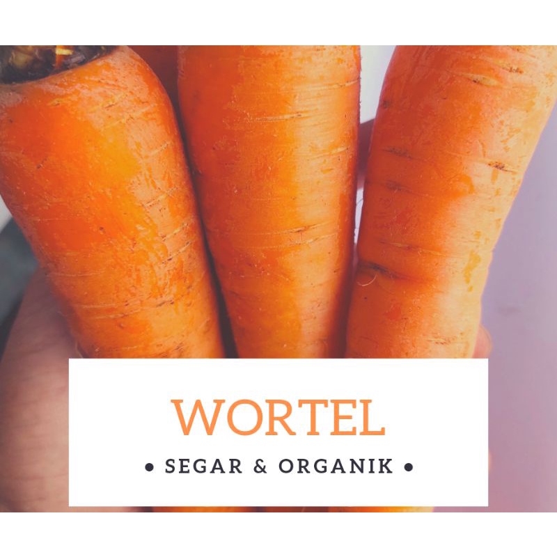 

wortel pangalengan 500gram