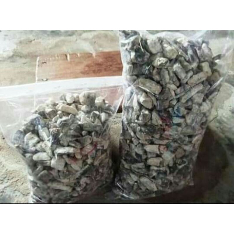 

Gatot singkong mentah