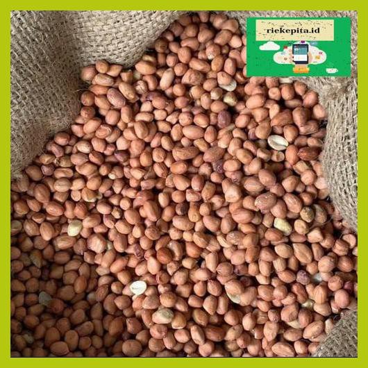 

5Yer67R- Kacang Tanah Tuban Super 1Kg - Kulit T7Rty67-