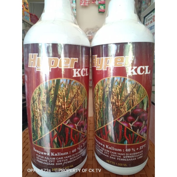 PUPUK KCL HYPER CAIR 1 LITER