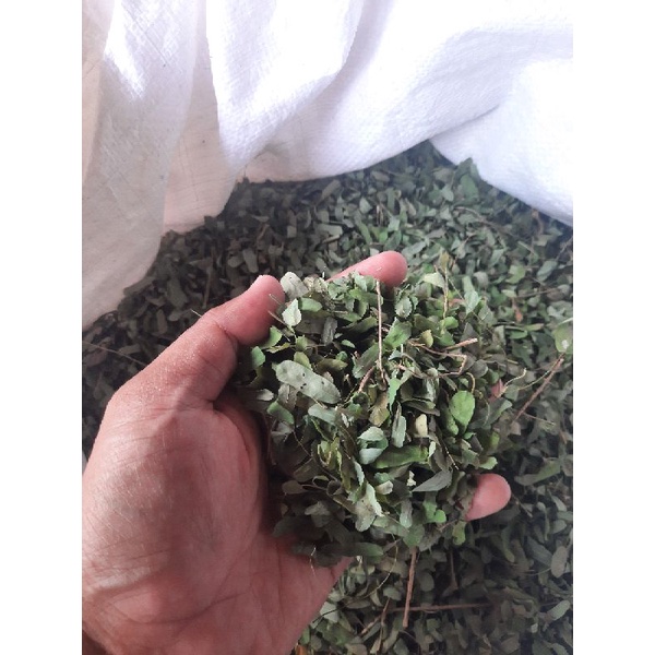 

Herbal daun saga kering murni 100gr murah