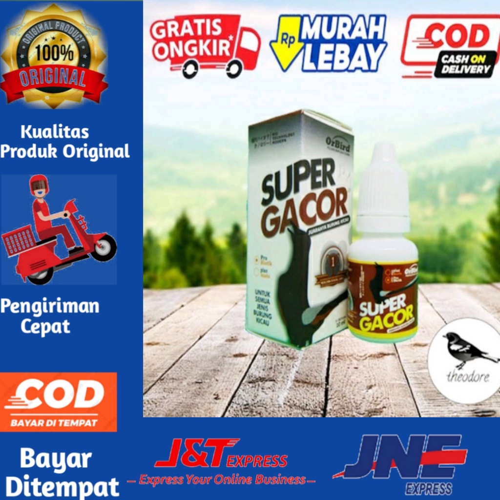 VITAMIN OBAT BURUNG MURAI KACER PLECI MACET BUNYI LESU SUPER GACOR ORBIRD PENAMBAH POWER VTNSPGC