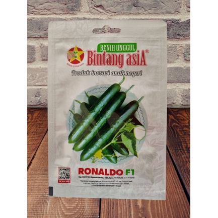 Benih Mentimun Jepang RONALDO F1