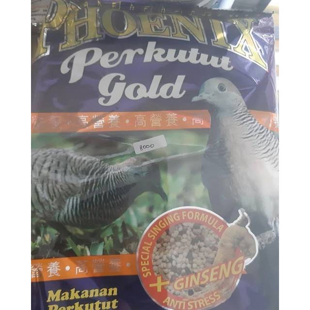 Phoenix perkutut gold