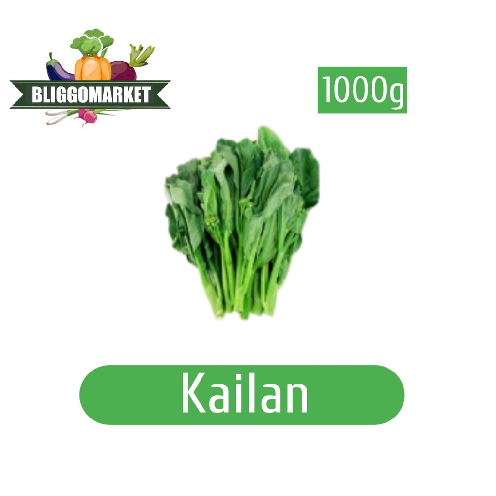 

Kailan / Sayuran Fresh / Berat 1KG