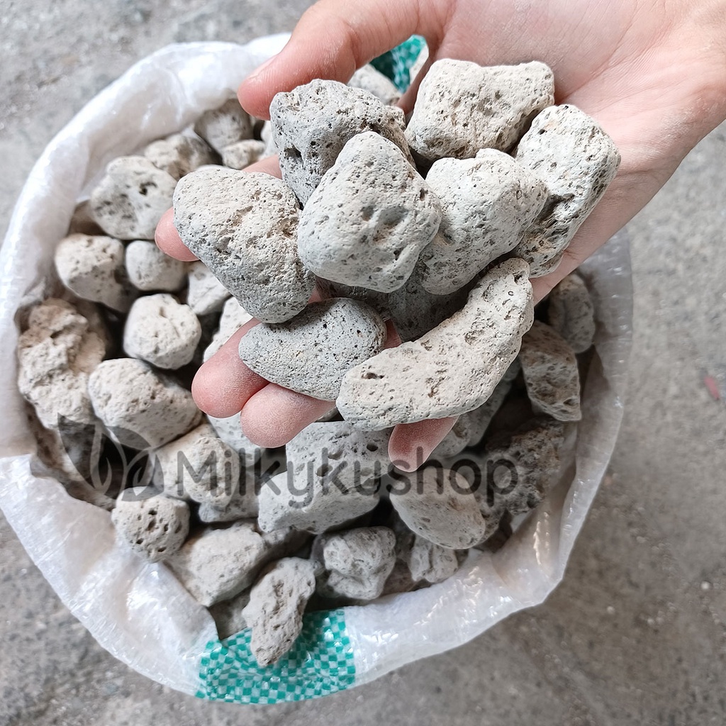 BATU APUNG BESAR - PUMICE STONE AQUARIUM FILTER