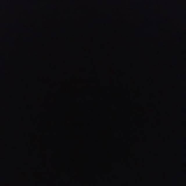 z*****a