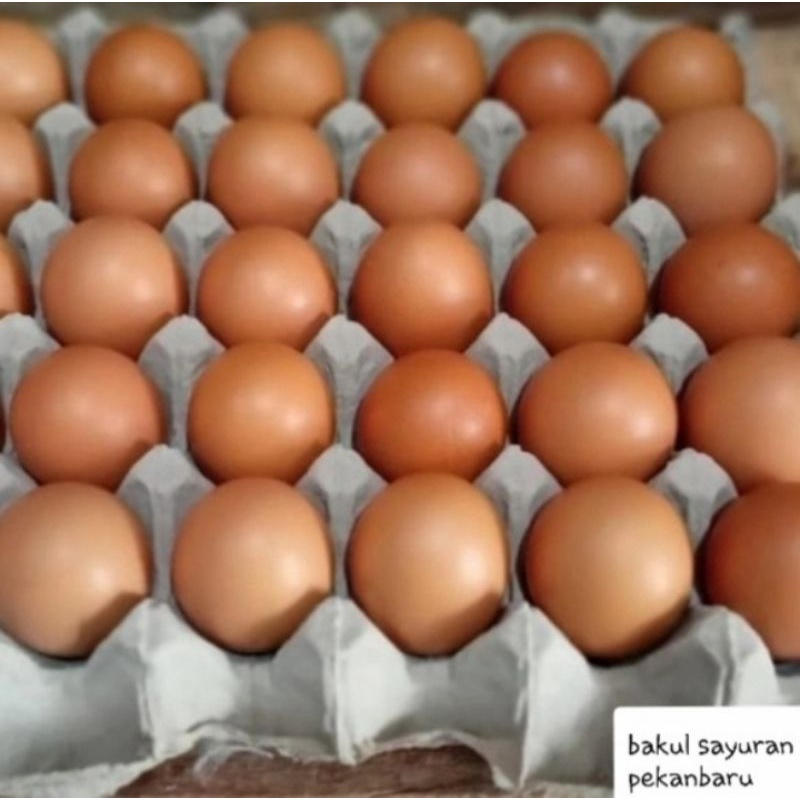 

Telur Ayam Negeri 15 Butir (1/2 papan)